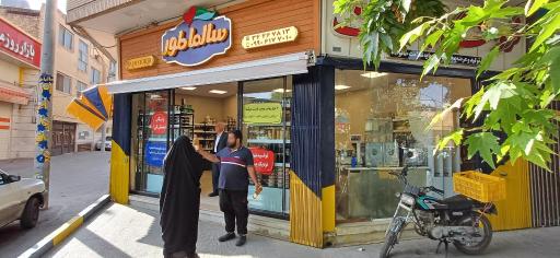 عکس سالماطور