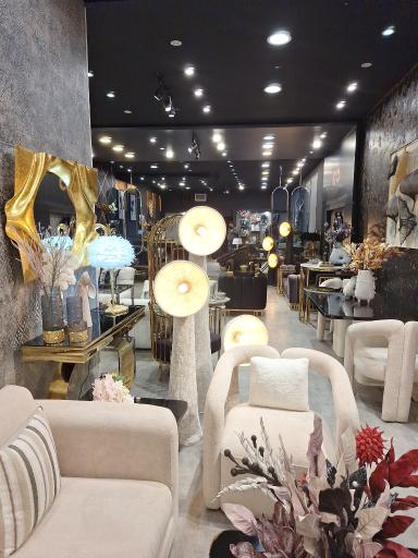 عکس فروشگاه مبلمان فراهانی 