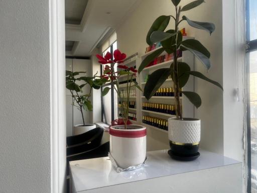 عکس سالن زیبایی شادی مجد