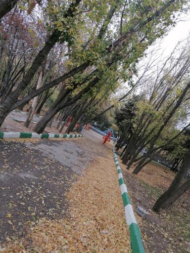 عکس پارک جنگلی ملت