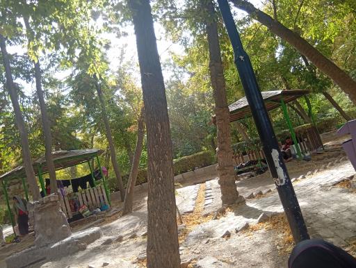 عکس پارک جنگلی ملت