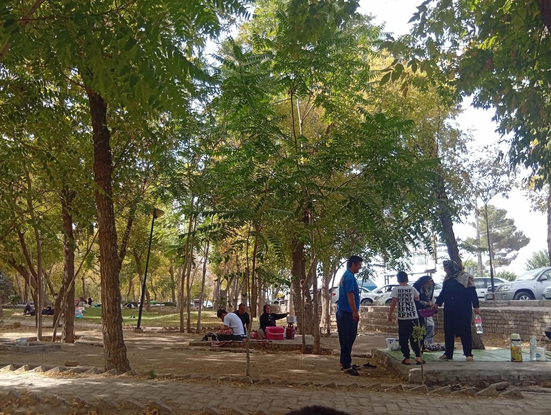 عکس پارک جنگلی ملت