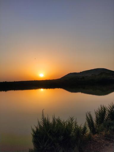 عکس سلاق یاسی تپه