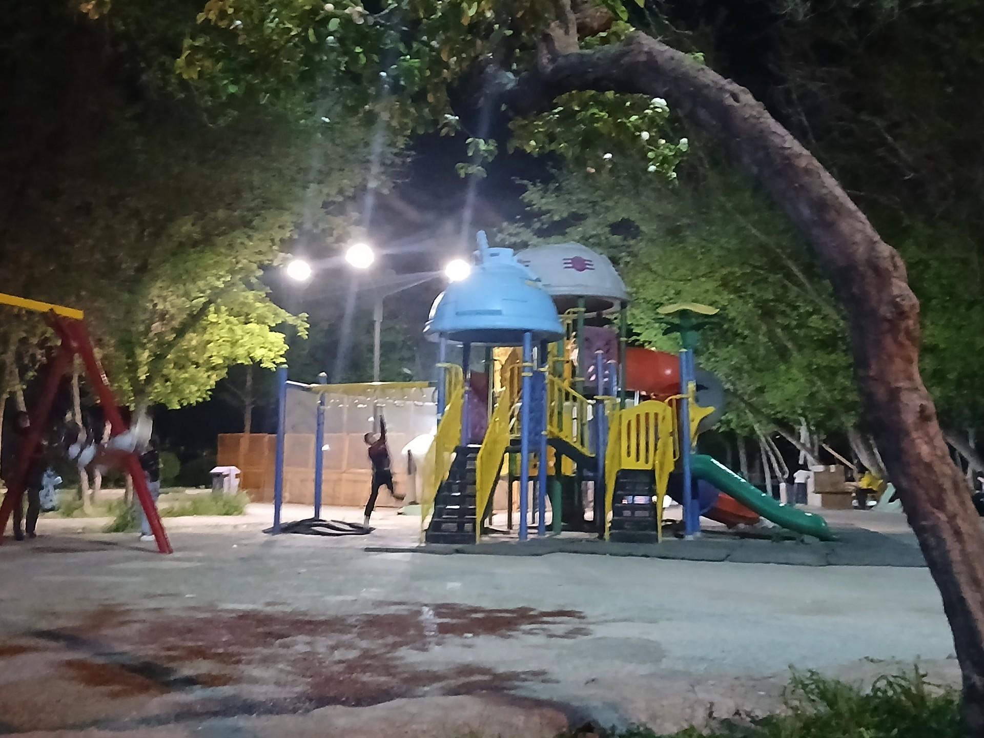 عکس پارک جنگلی ملت