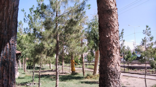 عکس پارک غدیر