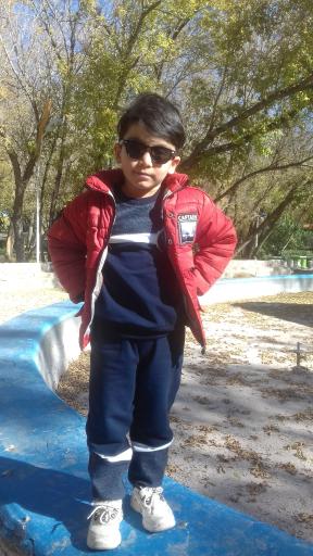 عکس پارک جنگلی ملت