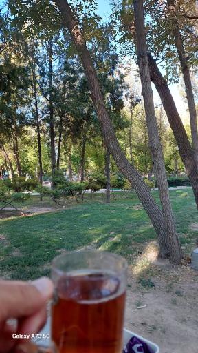 عکس پارک جنگلی ملت