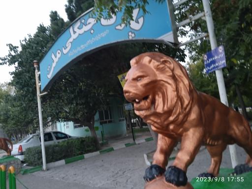 عکس پارک جنگلی ملت