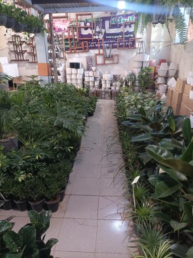 عکس گلفروشی سارینا