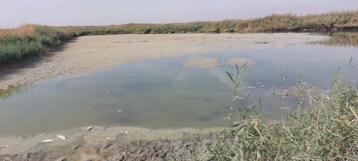 عکس تالاب مصنوعی  عشق آباد