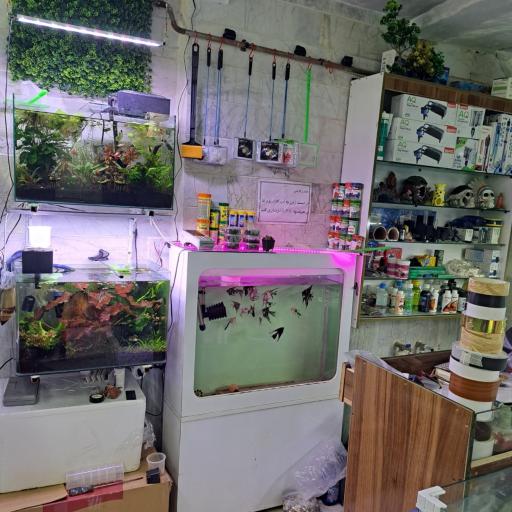 عکس آکواریوم کاپیتان