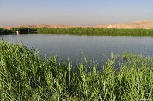 تالاب مصنوعی  عشق آباد