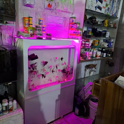 عکس آکواریوم کاپیتان