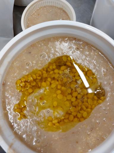 عکس حلیم ممتاز سعدی