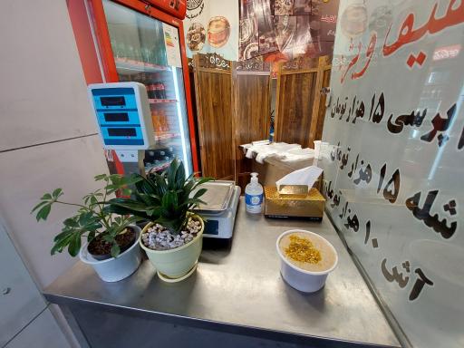 عکس حلیم ممتاز سعدی