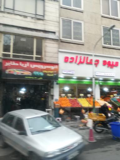 عکس اتو سرویس آریا طایر