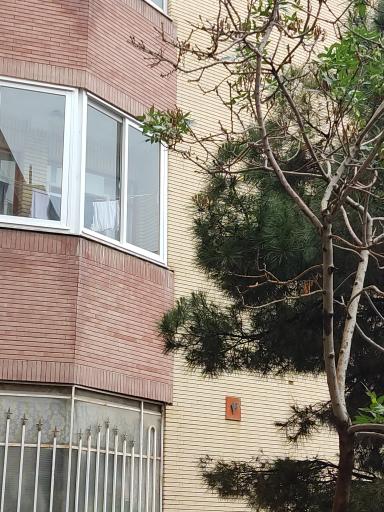 عکس بلوک ۴ مجتمع نگین ۱