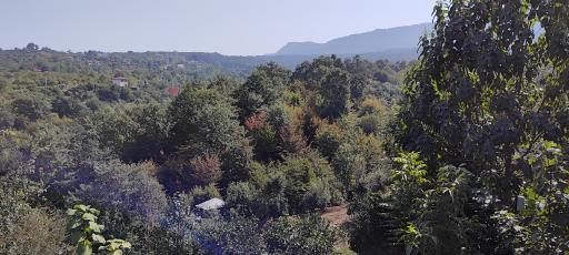 عکس اقامتگاه اکوتوریستی کومه - کلبه چوبی