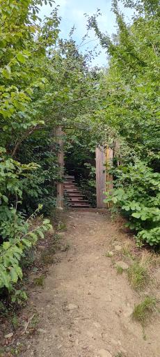 عکس اقامتگاه اکوتوریستی کومه - کلبه چوبی