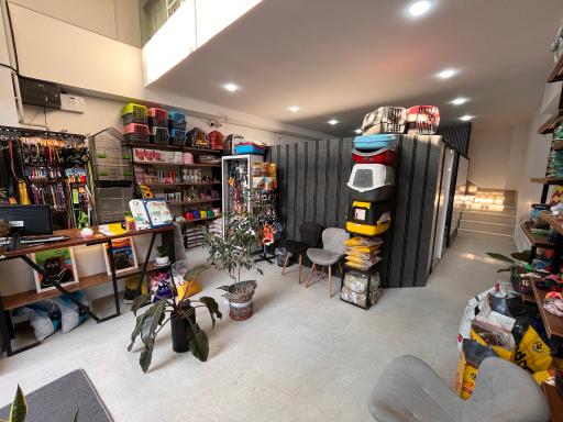 عکس پت شاپ و کلینیک دامپزشکی سینا