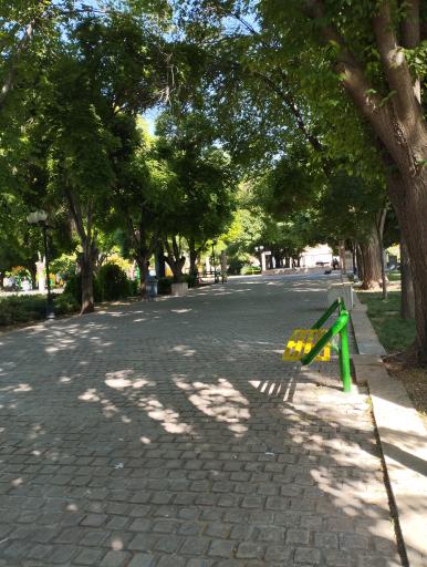 عکس بوستان رضوی