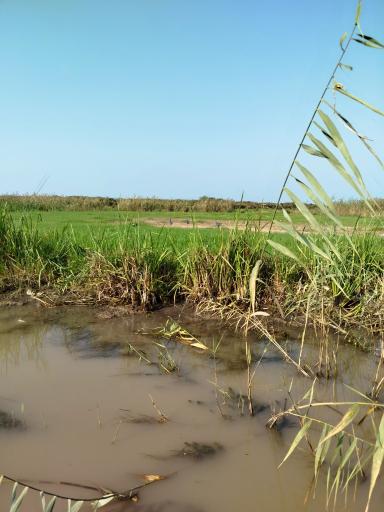 عکس پارک ملی بوجاق