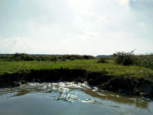 عکس پارک ملی بوجاق