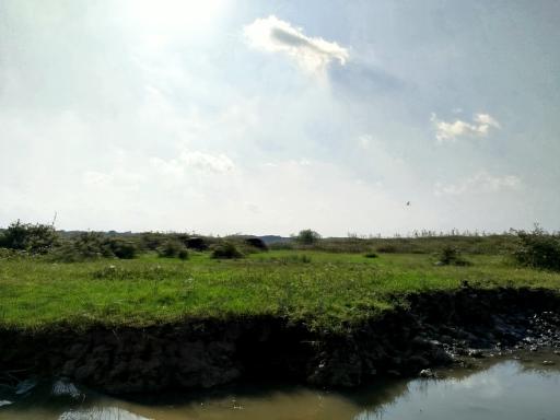 عکس پارک ملی بوجاق