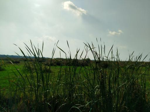 عکس پارک ملی بوجاق