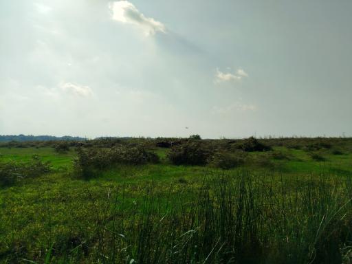 عکس پارک ملی بوجاق