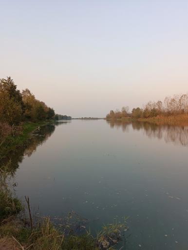 عکس پارک ملی بوجاق