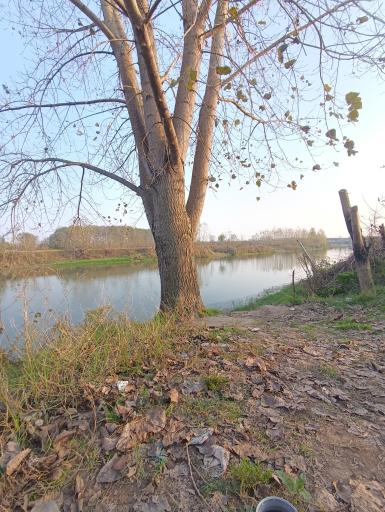 عکس پارک ملی بوجاق