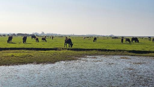 عکس پارک ملی بوجاق