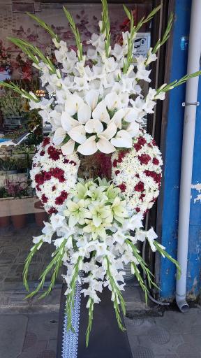 عکس گلسرای سیامک