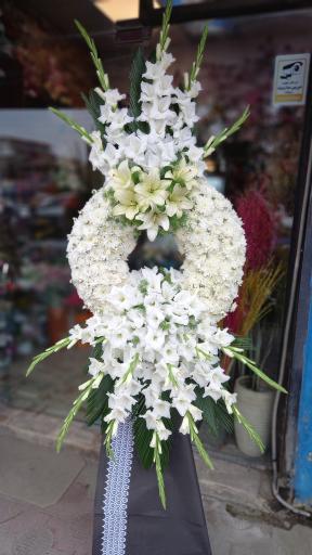 عکس گلسرای سیامک