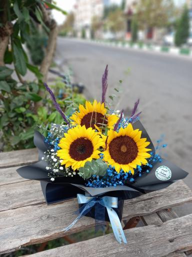 عکس گلسرای سیامک