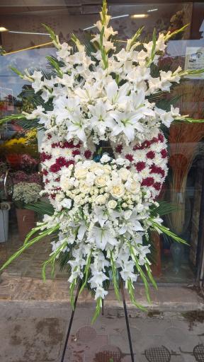 عکس گلسرای سیامک