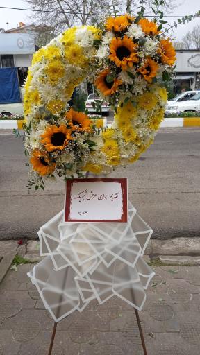 عکس گلسرای سیامک