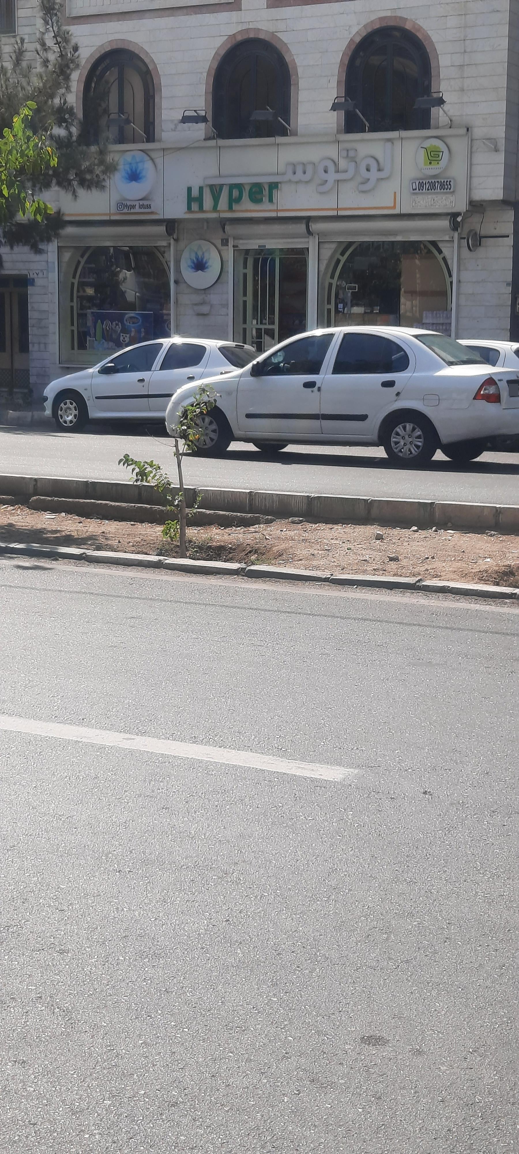 عکس هایپر لوتوس