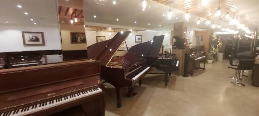 عکس پیانو صبا