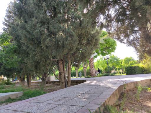 عکس بوستان رضوی