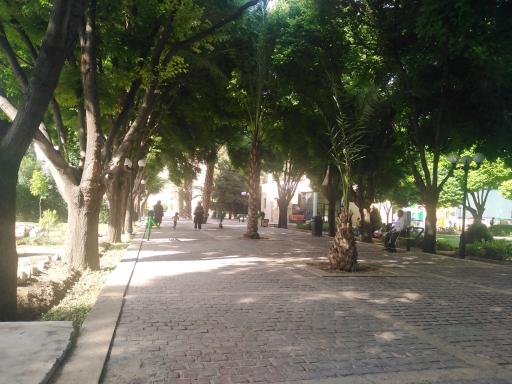 عکس بوستان رضوی