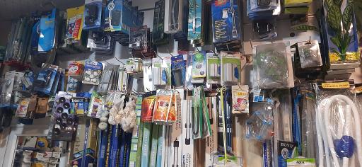 عکس آکواریوم آرام