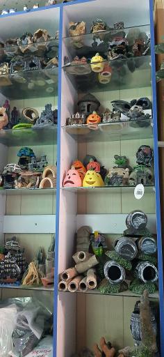 عکس آکواریوم آرام