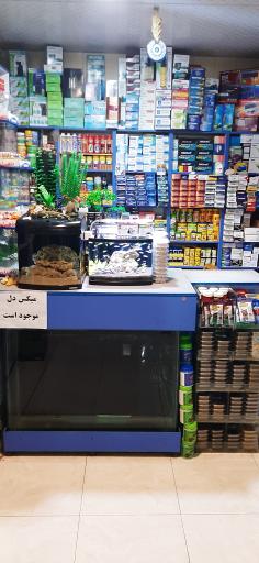 عکس آکواریوم آرام