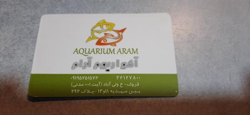 عکس آکواریوم آرام