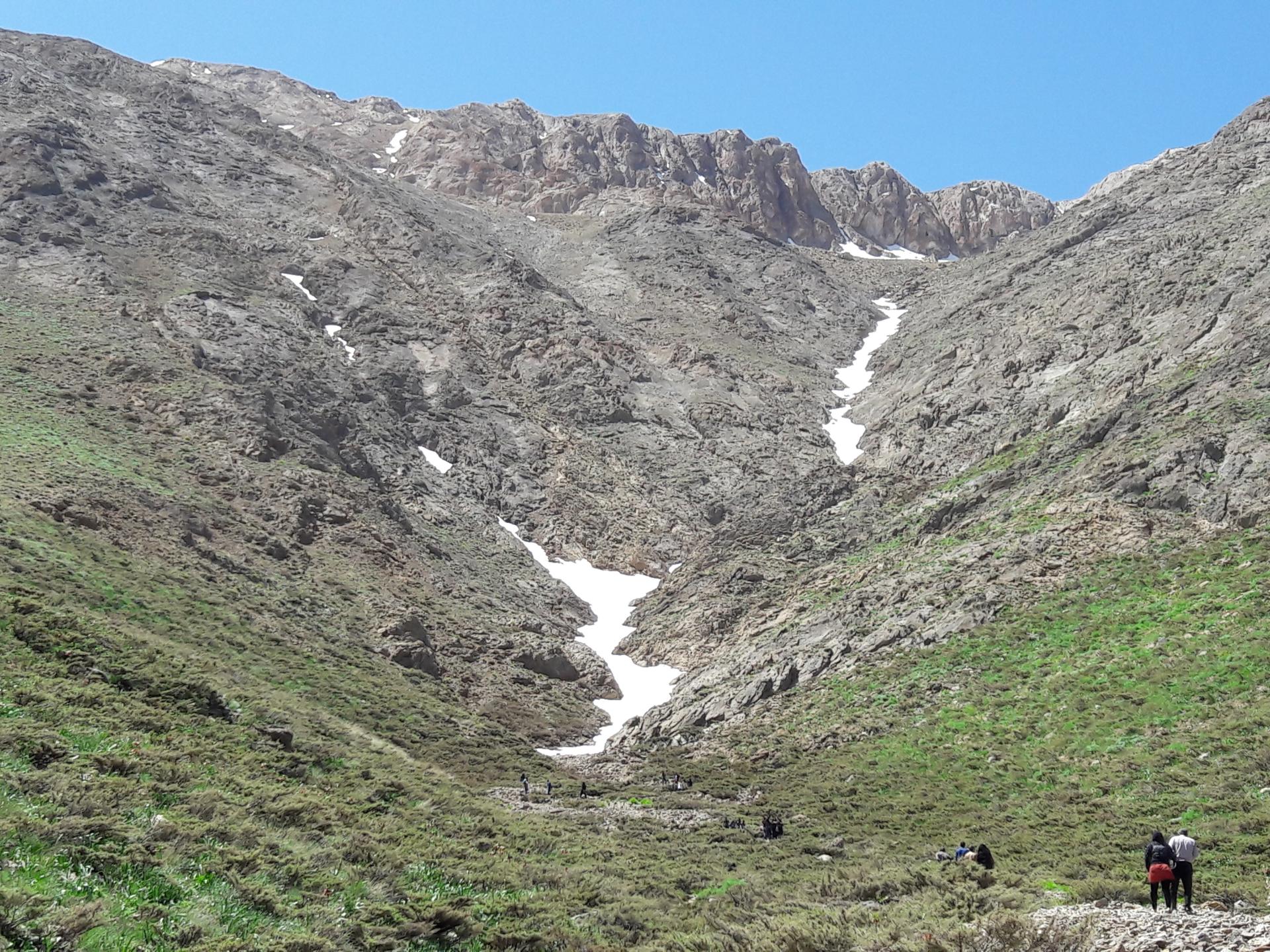 عکس دشت لاله واژگون خوانسار(گلستانکوه)