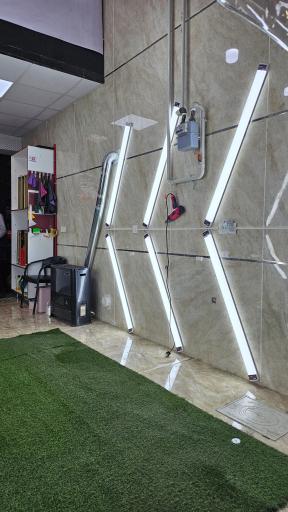 عکس شیشه دودی دکتر دودی