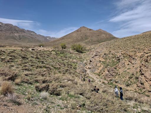 عکس دشت لاله واژگون خوانسار(گلستانکوه)