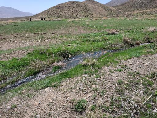 عکس دشت لاله واژگون خوانسار(گلستانکوه)